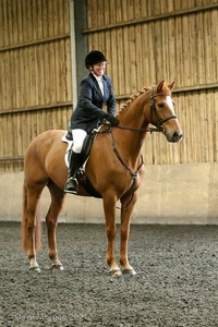 Isis Dressage Crown Farm Show 29th April 2012